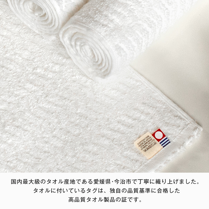粗品 ご挨拶 のし 名入れ お年賀 タオル 白タオル