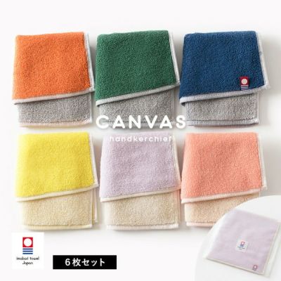 今治タオル ハンカチ 3枚 キャンバス 送料無料 (ネコポス) プチギフト